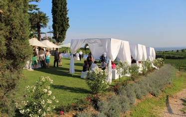 BUFFET - GIARDINO MARABUTTO (EVENTO)